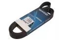 Paski klinowe wielorowkowe: Pasek wielorowkowy Dayco 7PK1667S