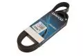 Pasek MICRO wielorowkowy: Pasek wielorowkowy Dayco 7PK1673S