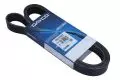 Paski klinowe wielorowkowe: Pasek wielorowkowy Dayco 7PK1705DT