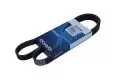  Paski klinowe wielorowkowe: Pasek wielorowkowy Dayco 6PK1217S