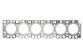 Głowica silnika: Uszczelka głowicy cylindrów Elring 174.902
