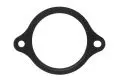  Termostat: Uszczelka termostatu Elring 876.140