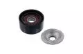  Napinacz paska (element napinający): Rolka napinająca pasek wielorowkowy Febi Bilstein 30389