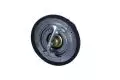  Termostat: Termostat cieczy chłodzącej Magneti Marelli 352317001750