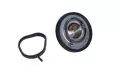  Termostat: Termostat cieczy chłodzącej Magneti Marelli 352317001870