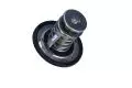 Termostat cieczy chłodzącej Magneti Marelli 352317002130, fot. 