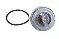  Termostat: Termostat cieczy chłodzącej Magneti Marelli 352317101290