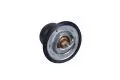  Termostat: Termostat cieczy chłodzącej Magneti Marelli 352317101370