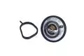  Termostat: Termostat cieczy chłodzącej Magneti Marelli 352317101870