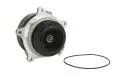  Pompa wody: Pompa cieczy chłodzącej (z kołem pasowym, EURO6) Thermotec WP-DF121