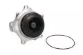  Pompa wody: Pompa cieczy chłodzącej (z kołem pasowym, EURO6) Thermotec WP-DF125