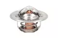 Termostat: Termostat cieczy chłodzącej Thermotec D2DB001TT
