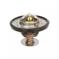 Termostat: Termostat cieczy chłodzącej Thermotec D2CA001TT