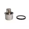 Termostat: Termostat cieczy chłodzącej Thermotec D2RV004TT