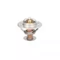 Termostat: Termostat cieczy chłodzącej Thermotec D2CA003TT