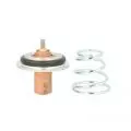 Termostat: Termostat cieczy chłodzącej Thermotec D2R002TT