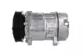 Kompresor klimatyzacji: Kompresor klimatyzacji Delphi TSP0159381