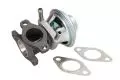 Recyrkulacja spalin: Zawór EGR Delphi EG10476-12B1