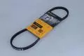 Paski klinowe wielorowkowe: Pasek wielorowkowy Contitech 3 PK 675