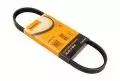 Paski klinowe wielorowkowe: Pasek wielorowkowy Contitech 4 PK 611