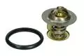  Termostat: Termostat Wahler 410131.88D
