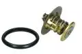 Termostat Wahler 410131.88D, fot. 